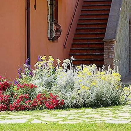 Tenuta Del Perugino בית חווה *