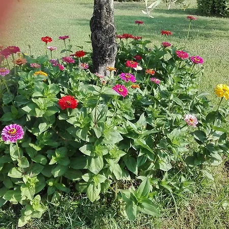 Agroturismo Tenuta Del Perugino